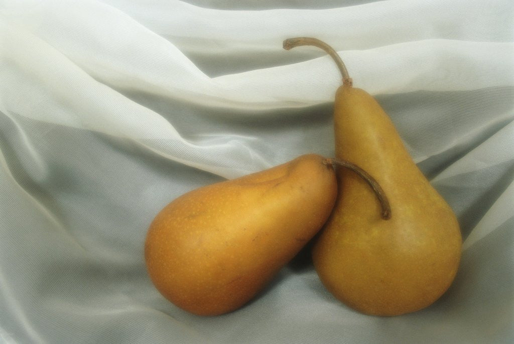Detail of Pears by Kim Koza