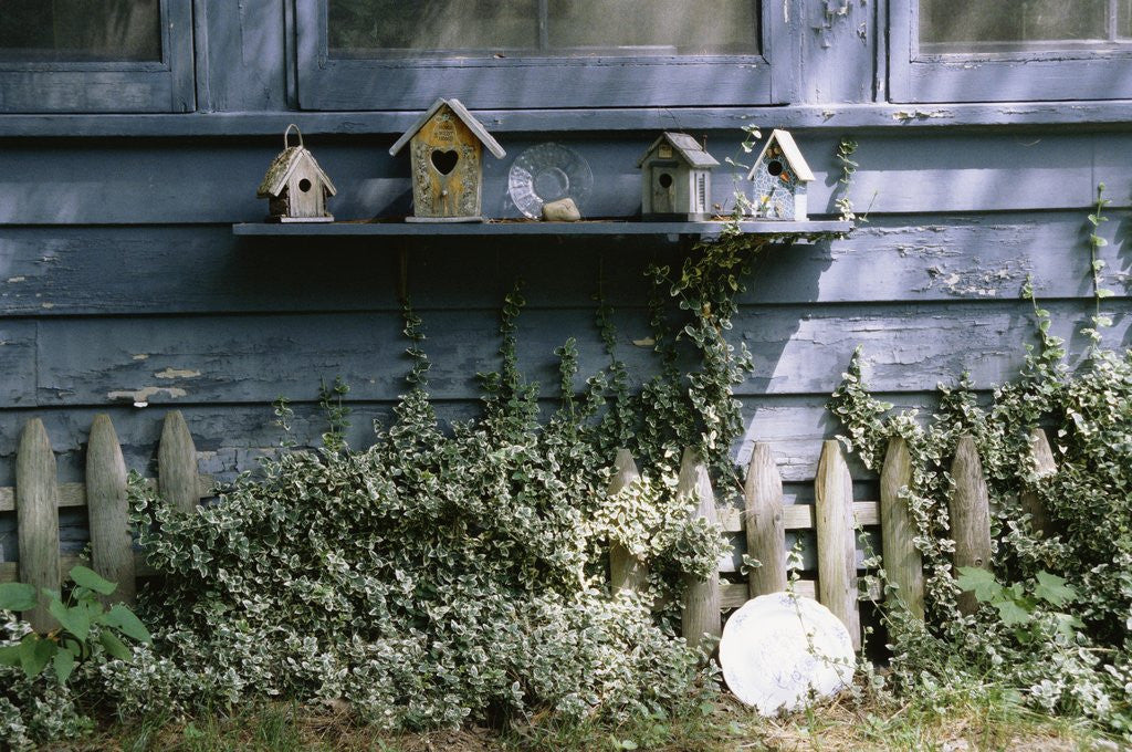 Detail of Roma's House by Kim Koza