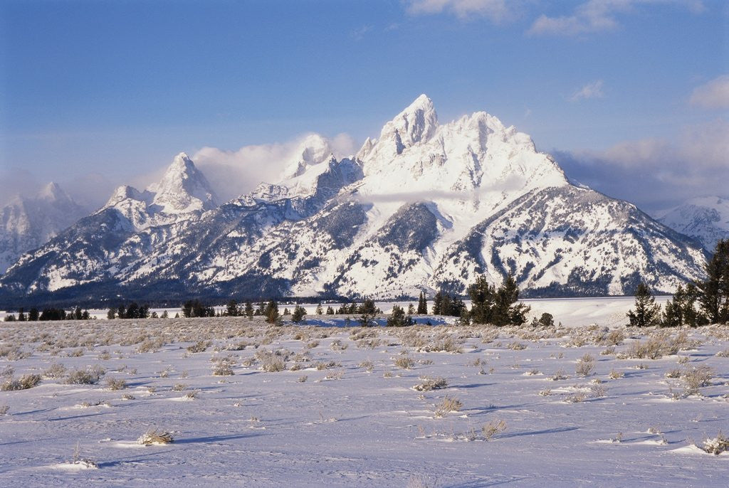 Detail of Grand Teton and Jackson Hole Valley by Corbis