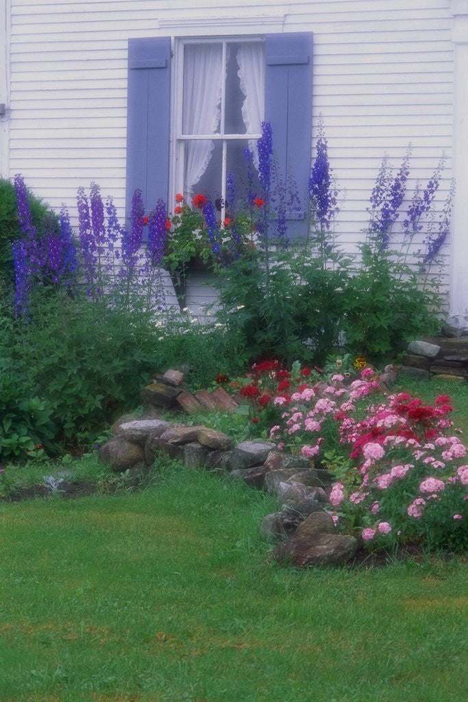Detail of Blooming Cottage Flowers by Corbis