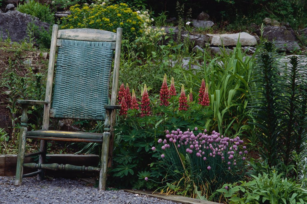 Detail of Old Chair in a Garden by Anonymous