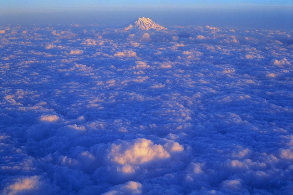 Detail of The Snowy Peak of Mount Rainier Rises Above the Clouds by Anonymous