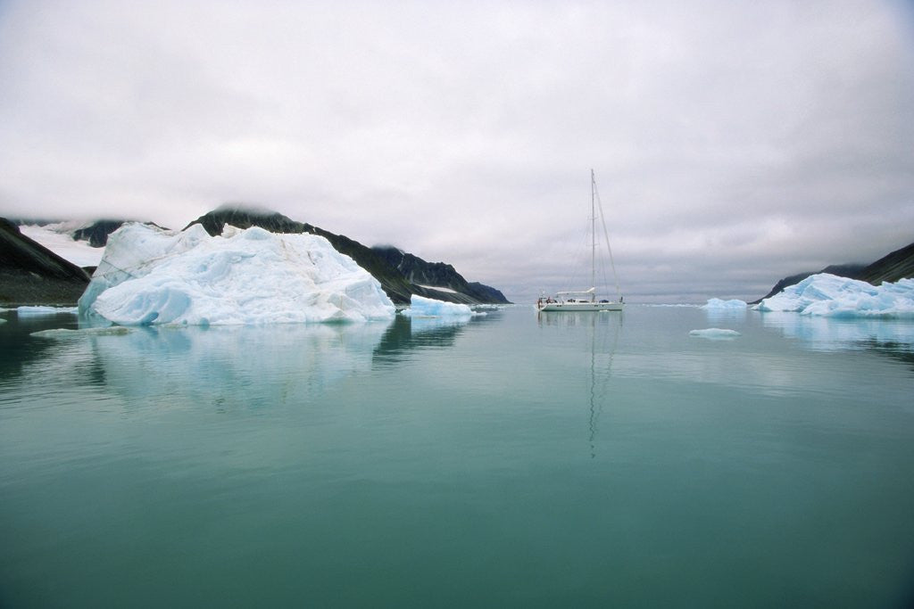 Detail of Sailboat Cruising the Arctic by Anonymous