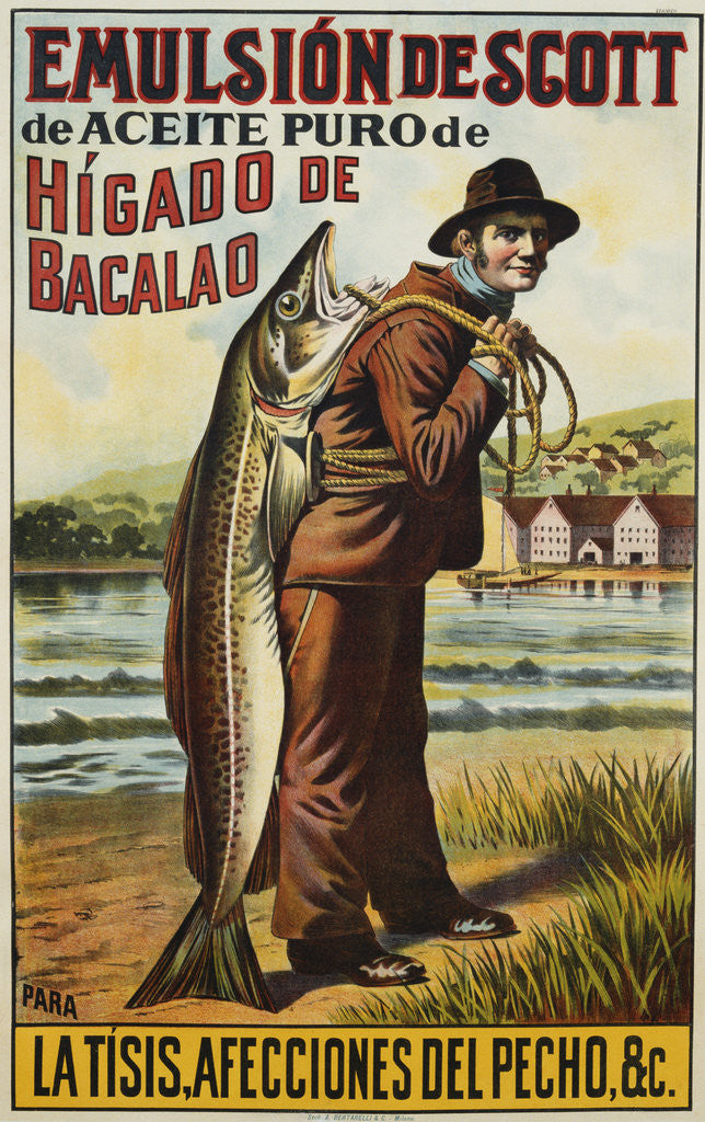 Detail of Emulsion de Scott Poster by Anonymous