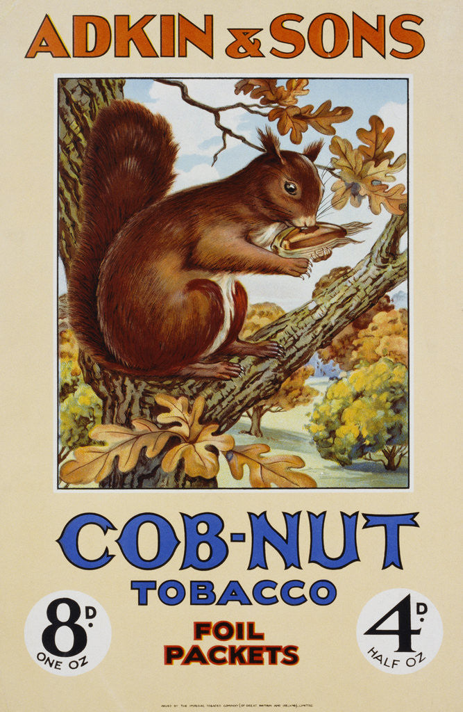 Detail of Adkin & Sons: Cob-Nut Tobacco Foil Packets Poster by Anonymous