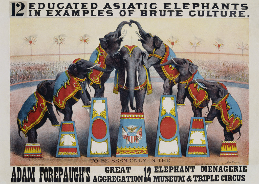 Detail of Adam Forepaugh's Great Aggregation Poster by Matt Morgan