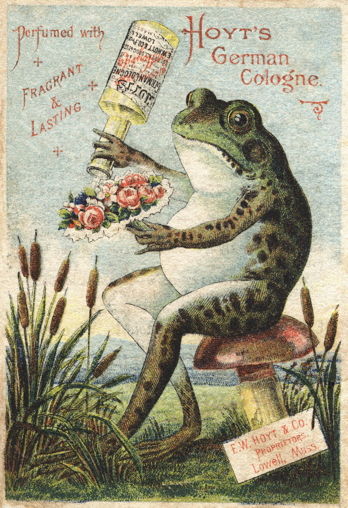 Detail of Hoyt's German Cologne Advertisement by Anonymous