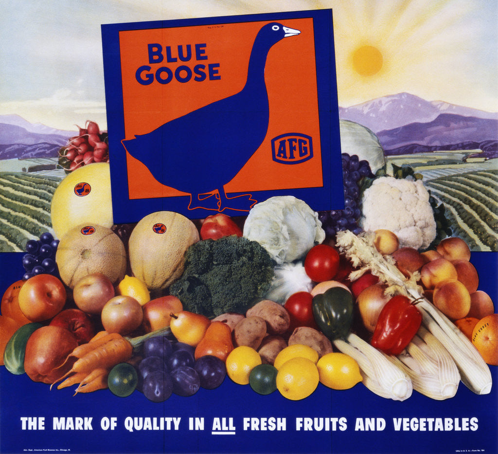 Detail of Blue Goose Poster by Anonymous