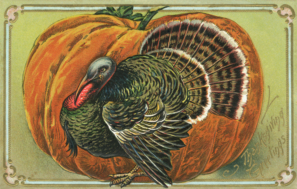 Detail of Thanksgiving Greetings Postcard with a Turkey and Pumpkin by Corbis