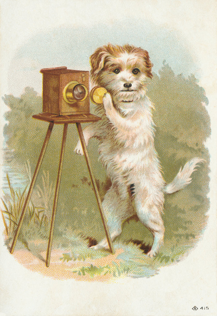 Detail of Trade Card of a Terrier Photographer by Anonymous