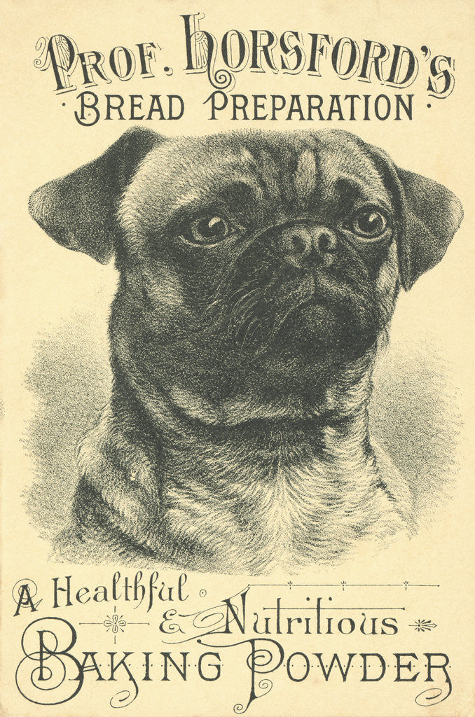 Detail of Prof. Horsford's Baking Powder Trade Card by Anonymous