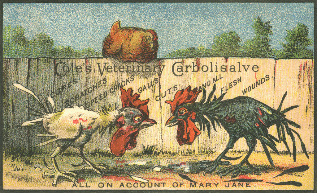 Detail of Cole's Veterinary Carbolisalve Trade Card by Anonymous