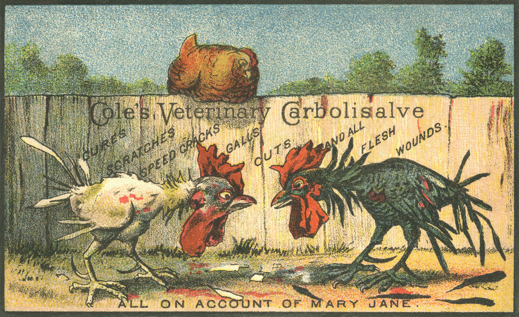 Detail of Cole's Veterinary Carbolisalve Trade Card by Corbis