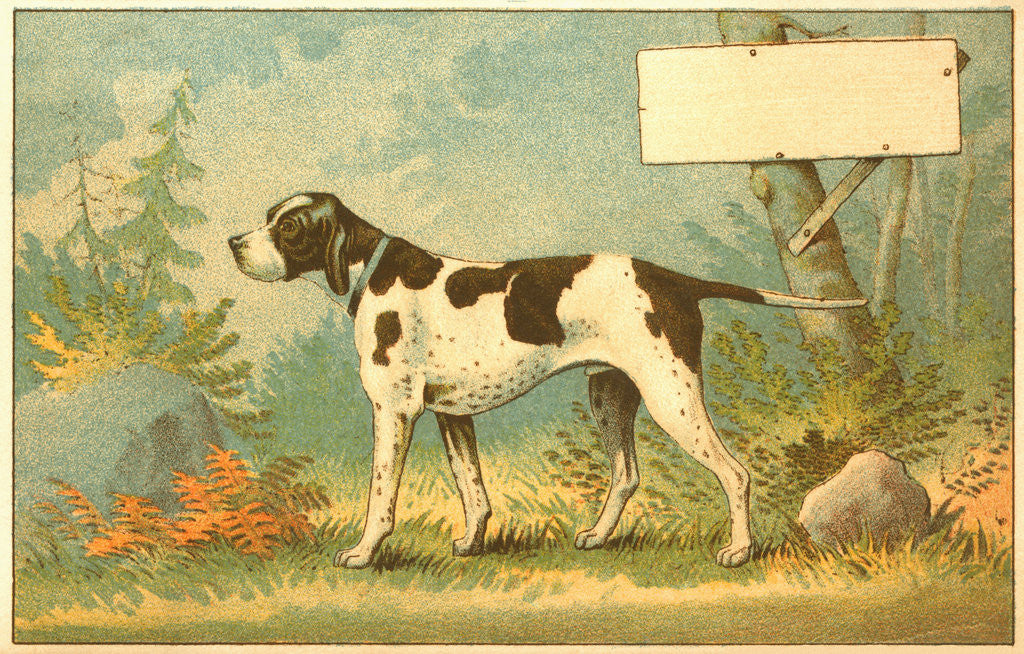 Detail of Trade Card of a Hound Dog in the Forest by Anonymous
