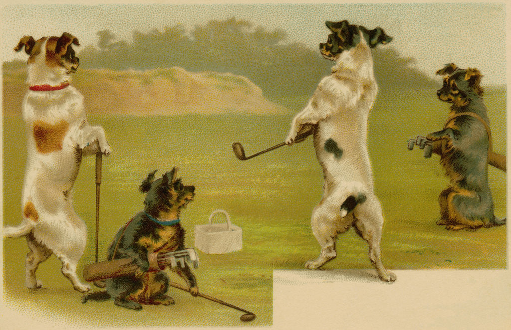 Detail of Postcard of Dogs Golfing by Anonymous
