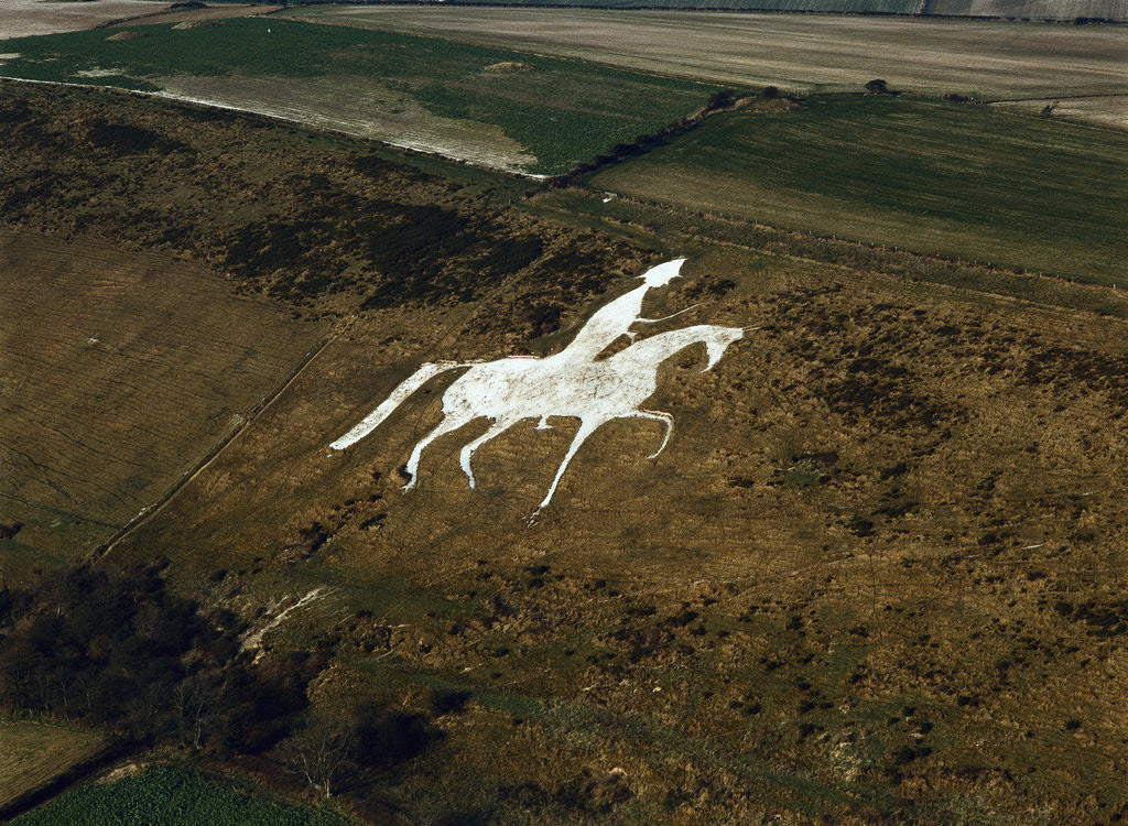 Detail of Aerial View of Man on Horse, Chalk Hillside Carving by Anonymous