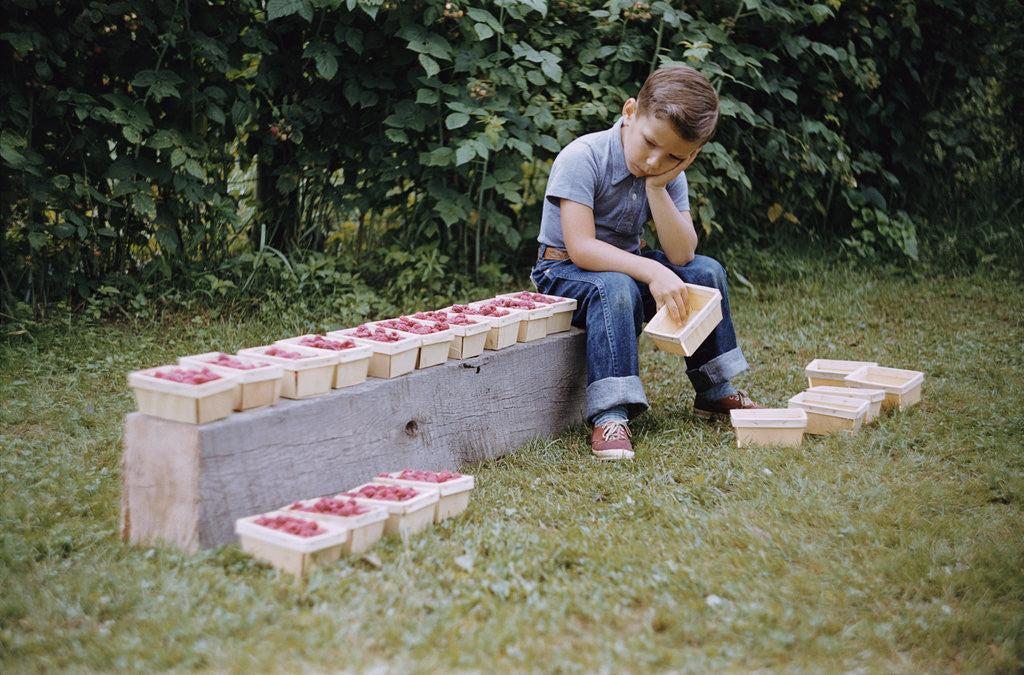Detail of Bored Child Sitting with Raspberry Cartons by Anonymous