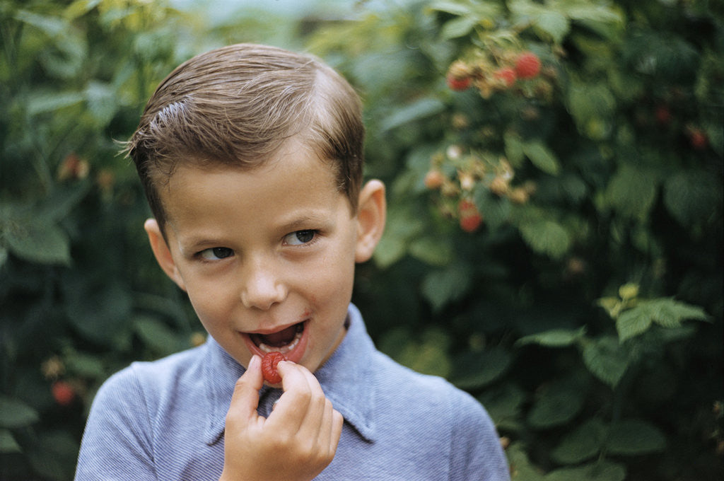 Detail of Boy Eating a Raspberry by Anonymous