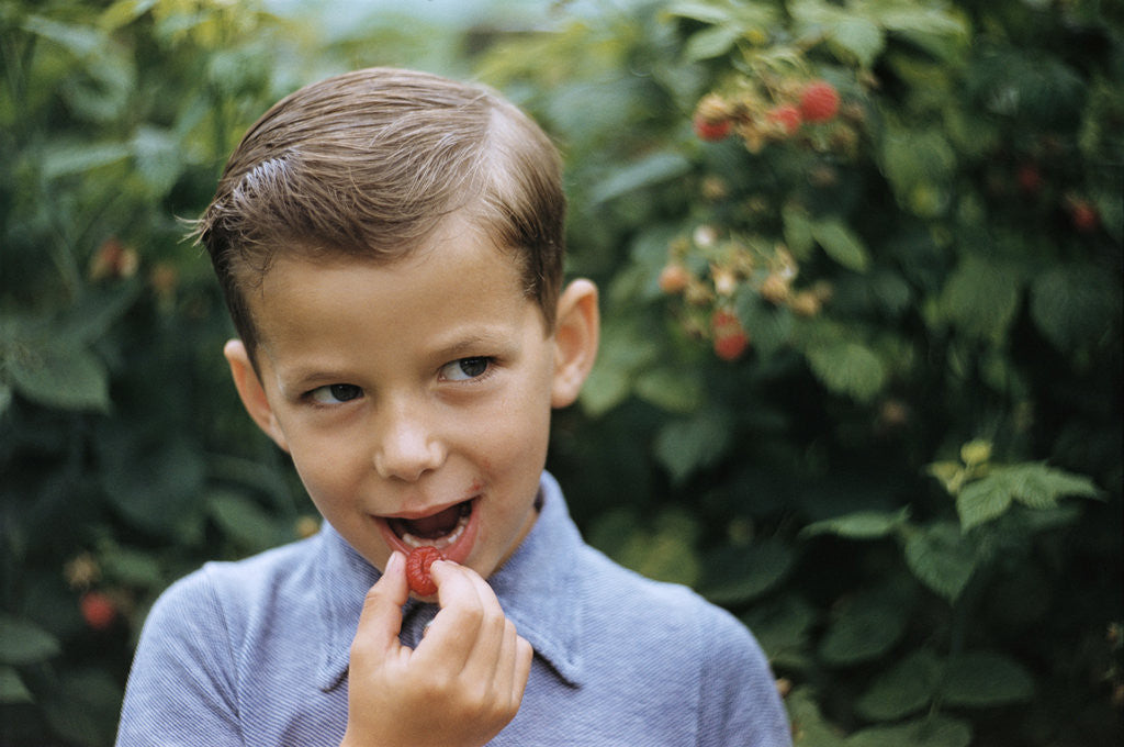 Detail of Boy Eating a Raspberry by Corbis
