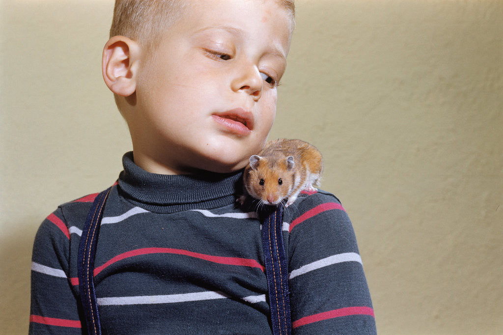 Detail of Hamster on Boy's Shoulder by Anonymous
