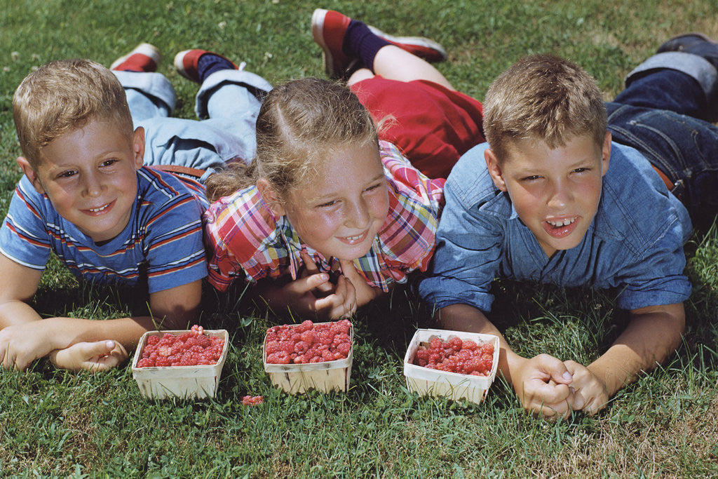 Detail of Children with Baskets of Raspberries by Anonymous