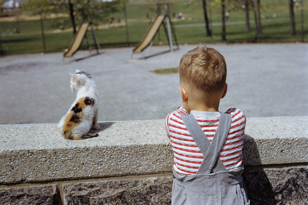 Detail of Boy Standing with Kitten in Schoolyard by Anonymous