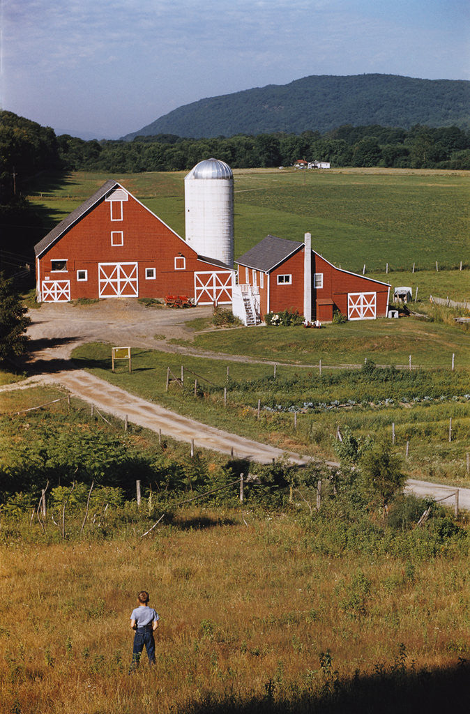 Detail of Boy Standing in Field near Red Barn by Anonymous
