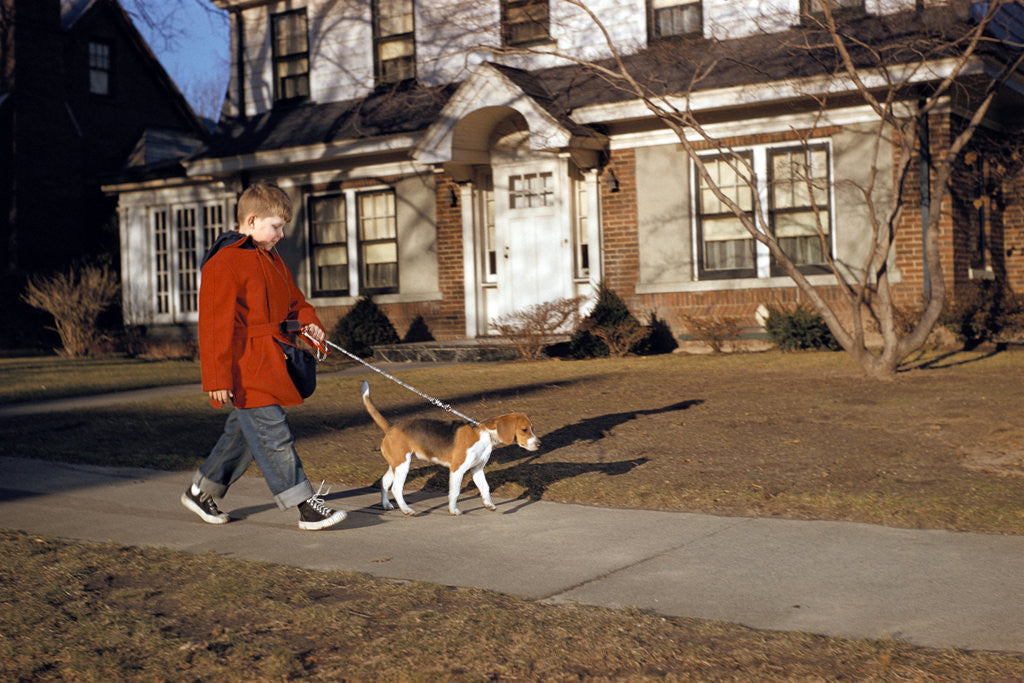 Detail of Boy Walking Dog on Sidewalk by Anonymous