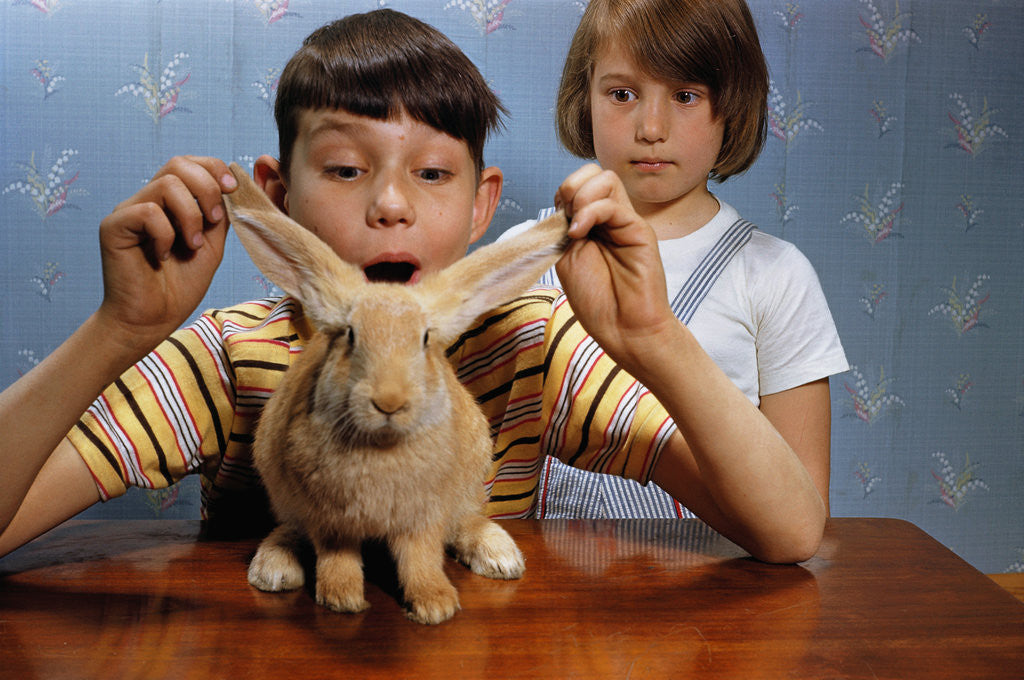 Detail of Annoying Brother Playing With His Sister's Pet Rabbit by Anonymous