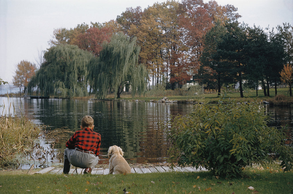 Detail of Boy and Dog Looking at Lake by Corbis