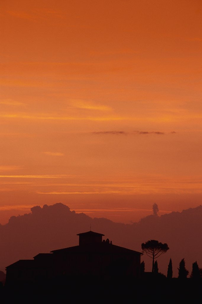 Detail of Farmhouse Silhouetted at Sunset by Anonymous