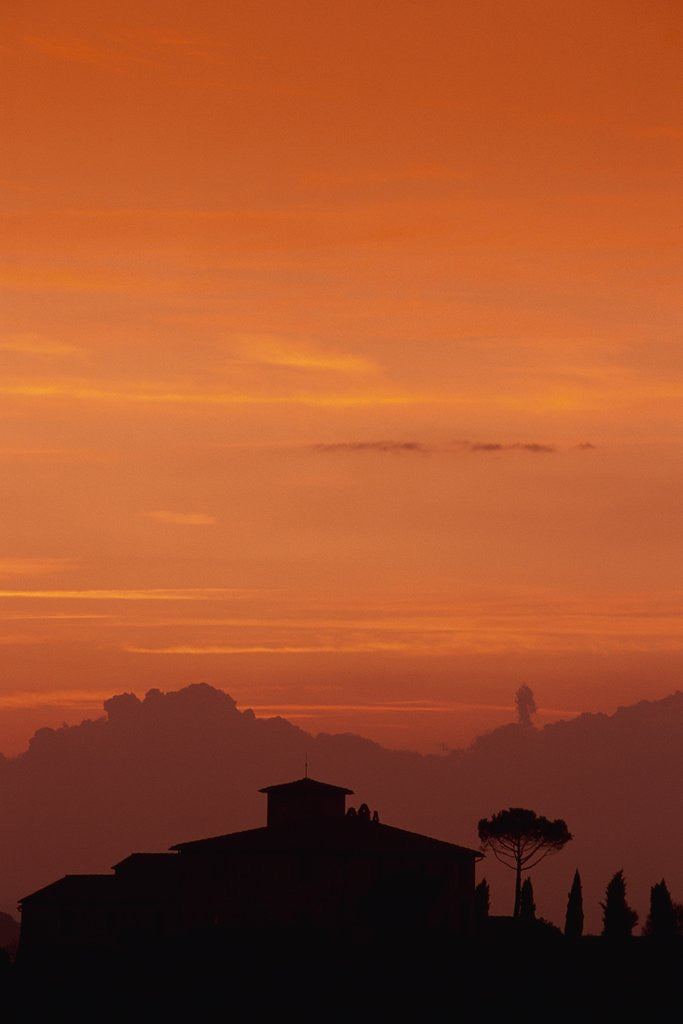Detail of Farmhouse Silhouetted at Sunset by Corbis