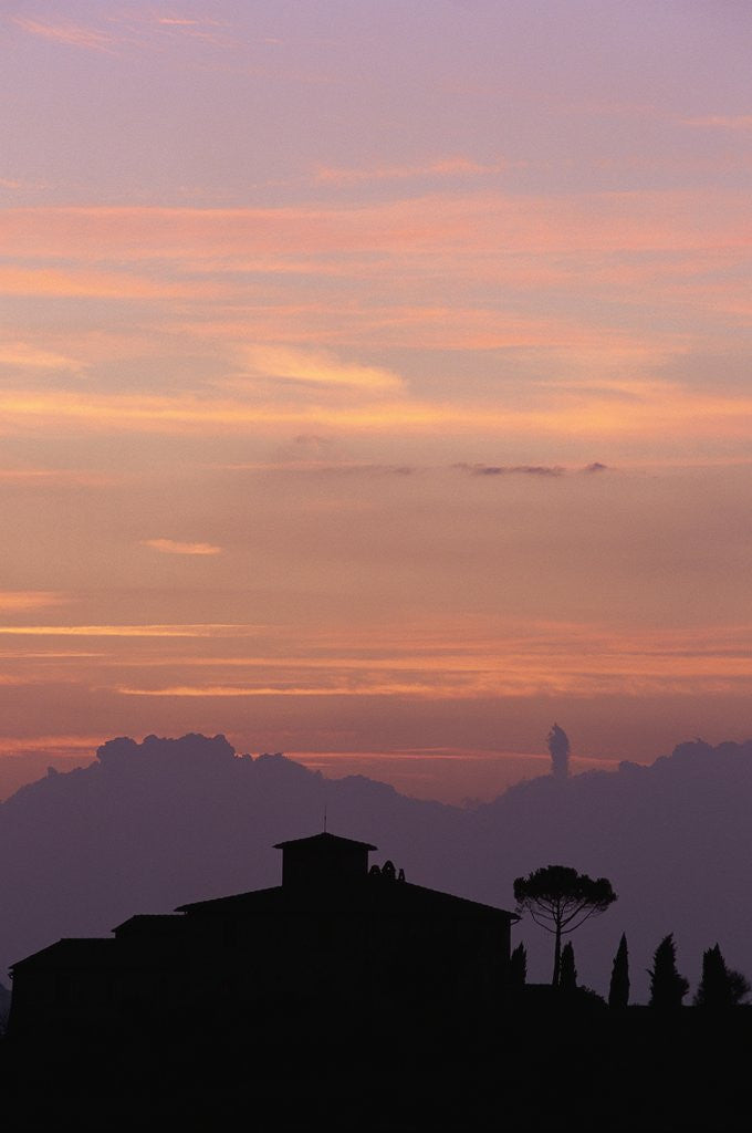 Detail of Farmhouse Silhouetted at Sunset by Anonymous