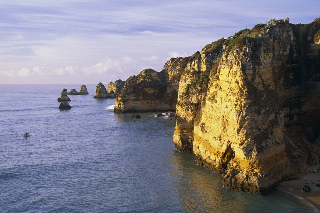 Detail of Sanstone Cliffs at Praia de Dona Ana Beach in Portugal by Anonymous