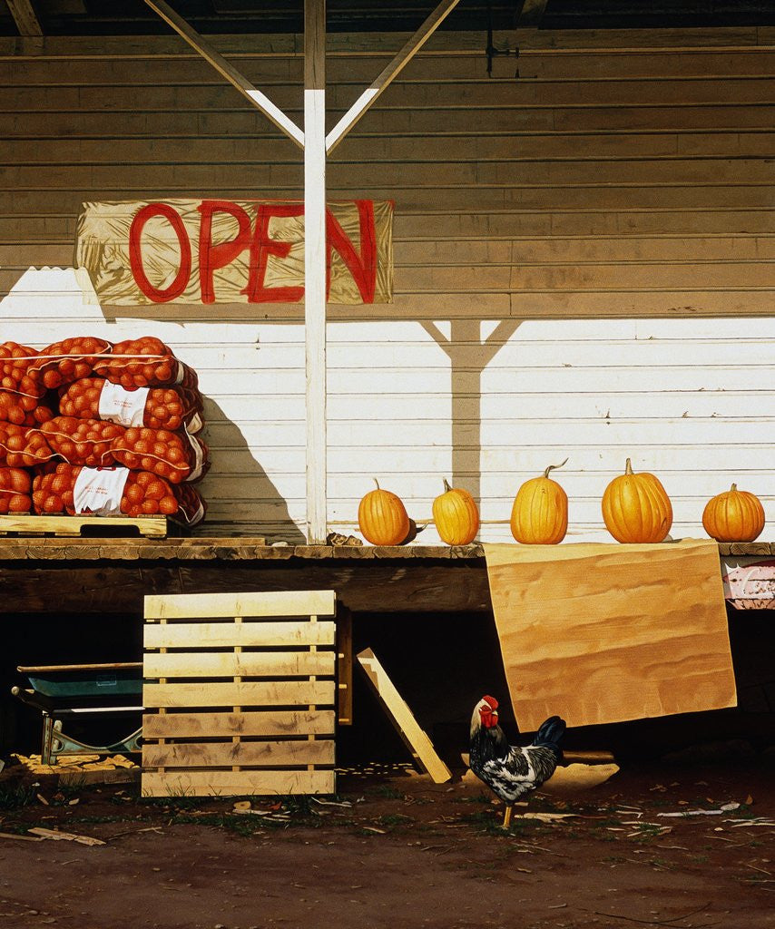 Detail of Open by Reynard Milici