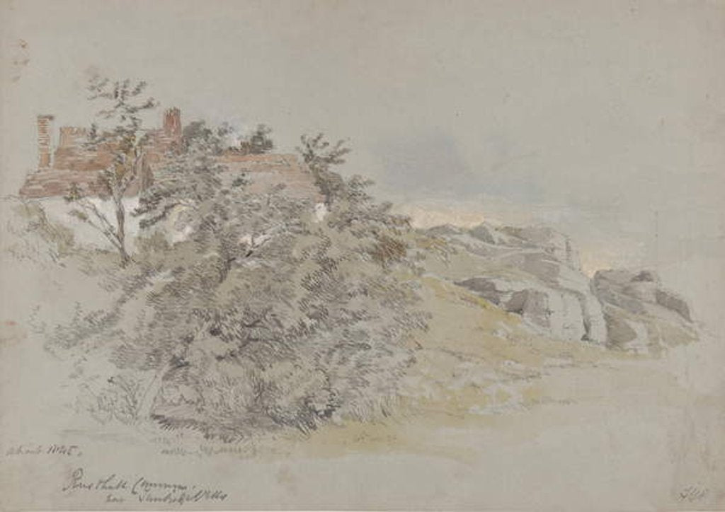 Detail of Rusthall Common, near Tunbridge Wells, c.1845 by Samuel Gillespie Prout
