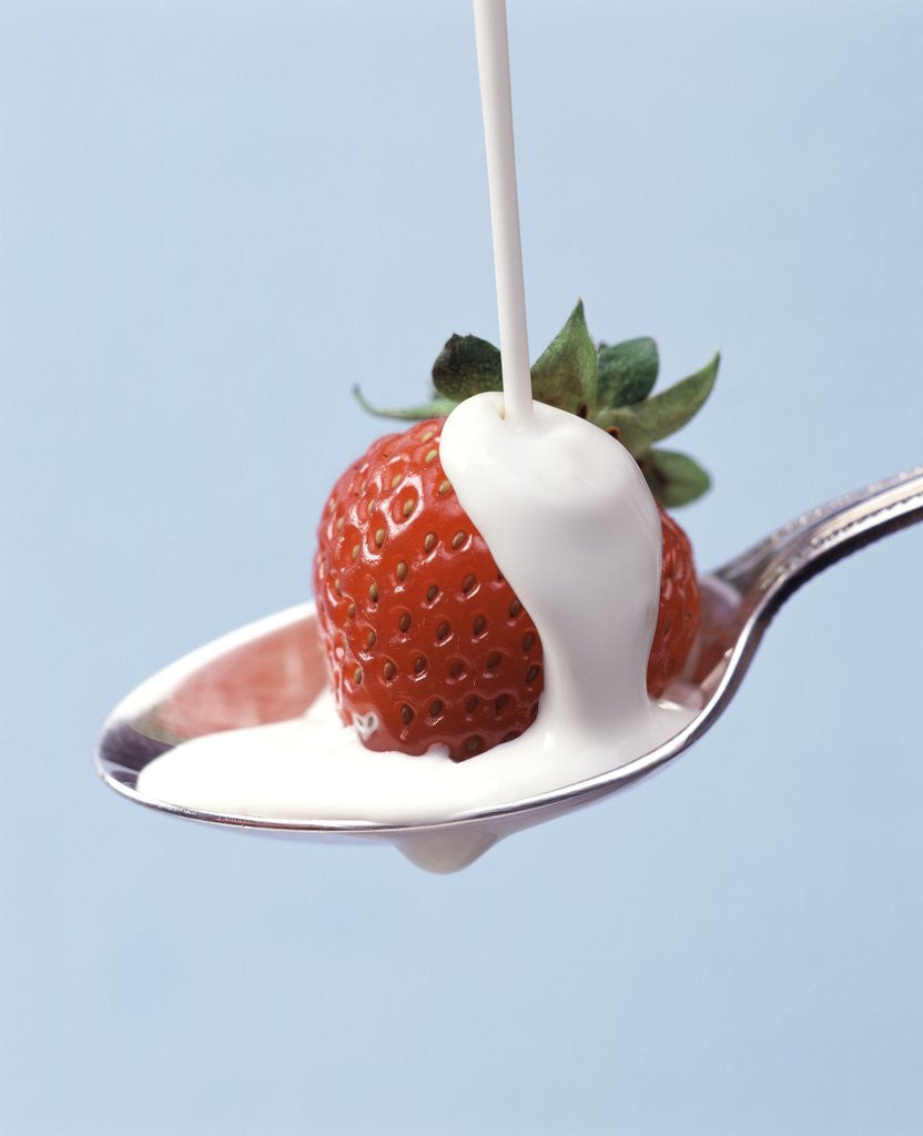Detail of Strawberry and Cream by Anonymous