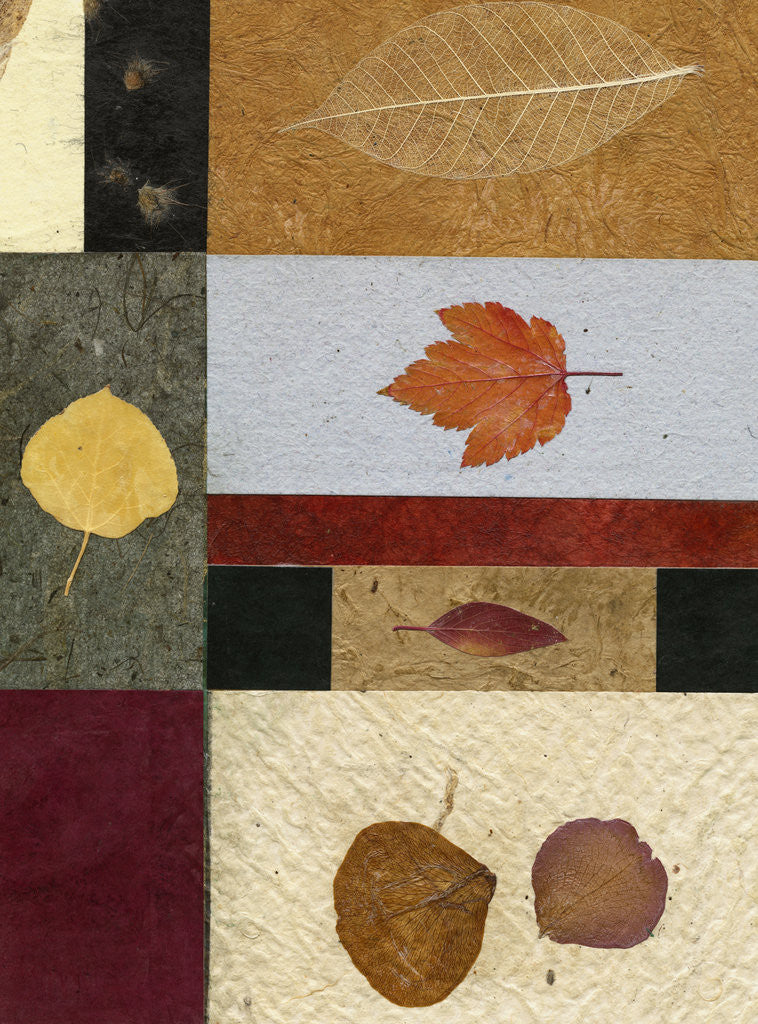 Detail of Essential Nature Block 3A by Phillip Jaeger