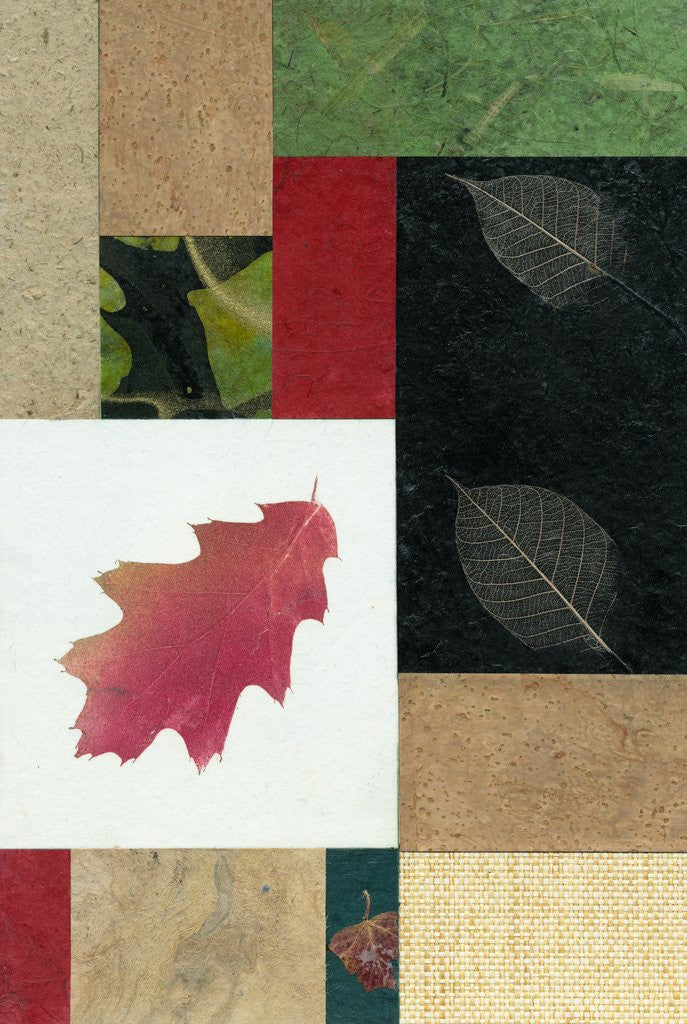 Detail of Essential Nature Block 2T by Phillip Jaeger