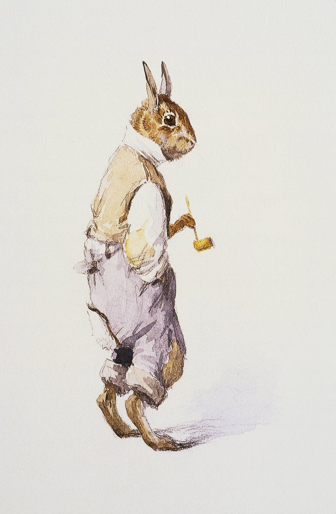Detail of Illustration of Rabbit Character for The A.B. Frost Book by A.B. Frost