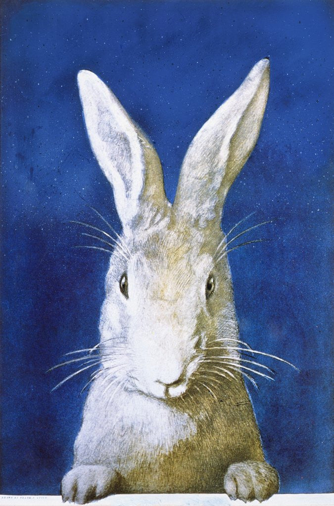 Detail of Magazine Cover Depicting a Rabbit by Frank S. Guild