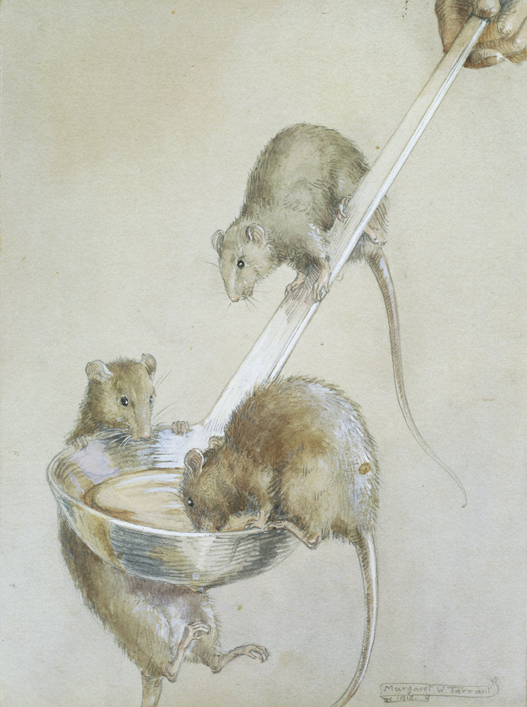 Detail of Book Illustration Depicting Three Mice on a Ladle by Margaret Winifred Tarrant