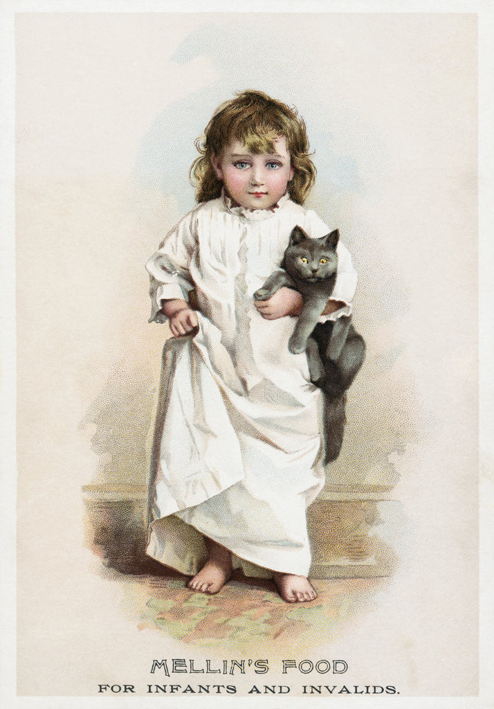 Detail of Mellin's Food for Infants and Invalids Trade Card by Anonymous