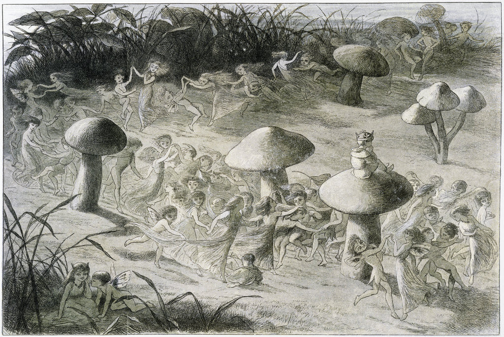 Detail of An Elfin Dance by Night Illustration by Richard Doyle