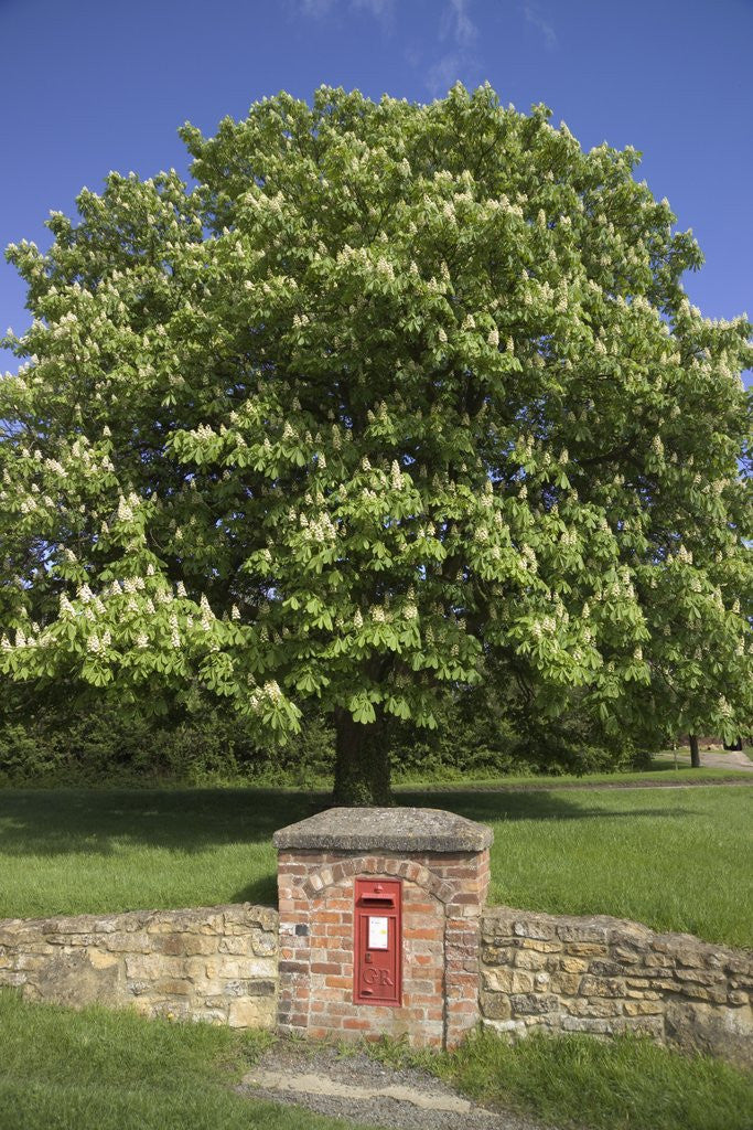Detail of GR Royal Mail Rural Letter Box by Anonymous