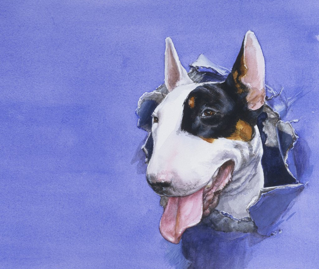 Detail of Darby from Darby, the Special-Order Pup by Alexandra Day