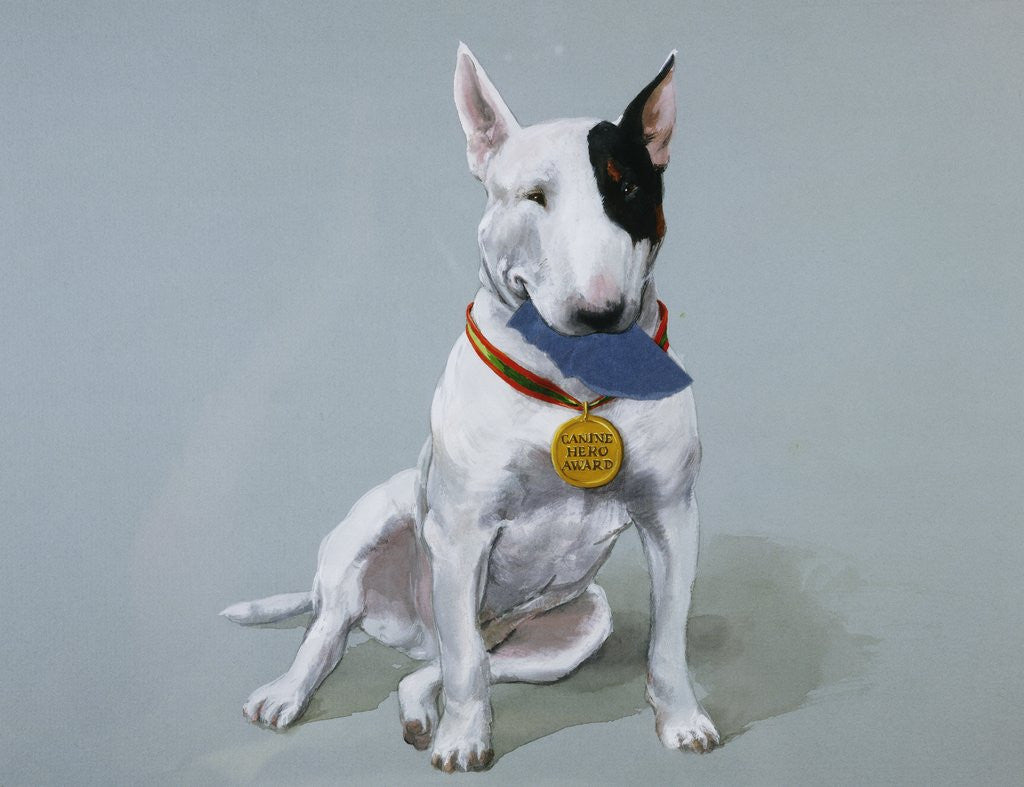 Detail of Darby Wearing a Medal from Darby, the Special-Order Pup by Alexandra Day