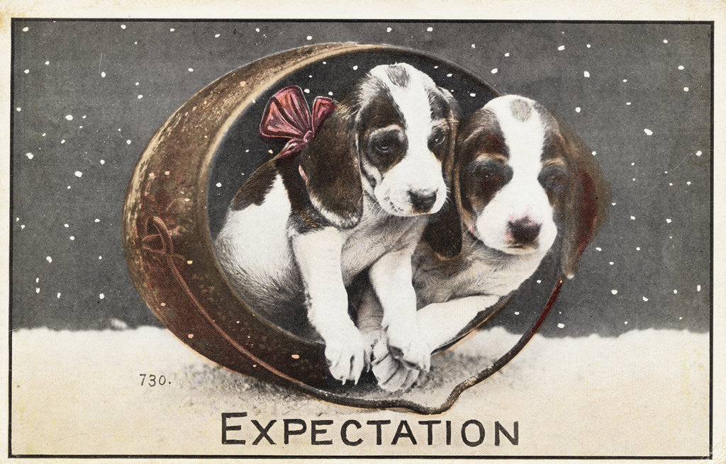 Detail of Expectation Postcard by Anonymous