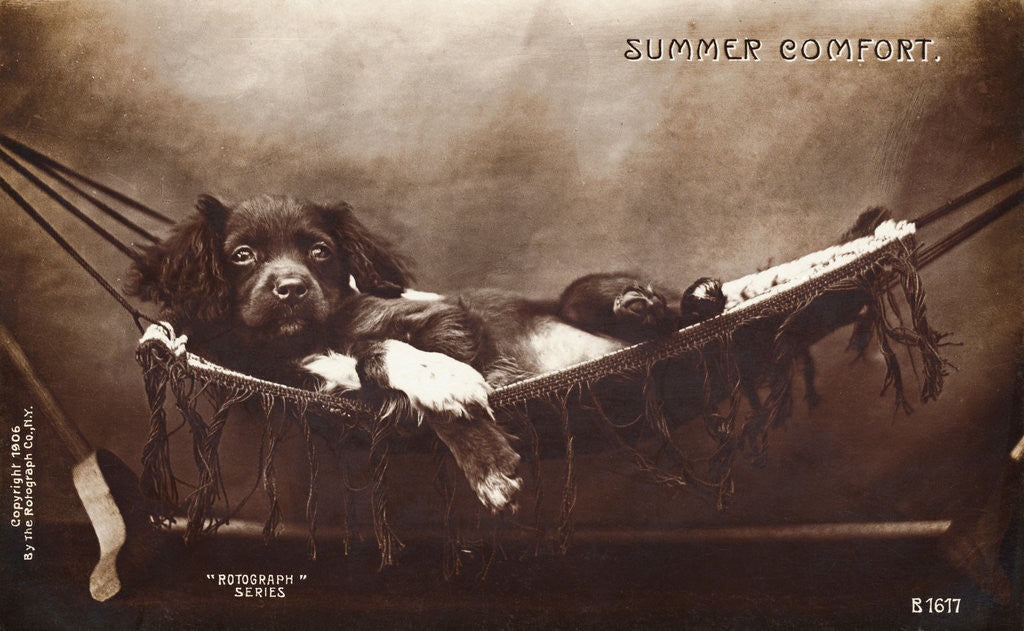 Detail of Summer Comfort Postcard by Corbis