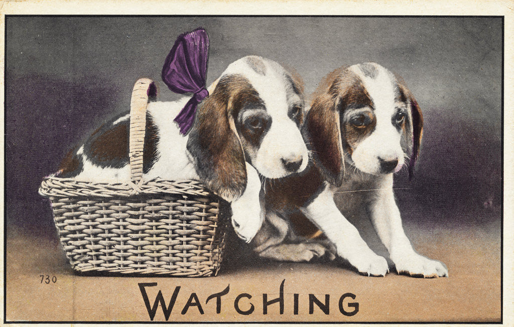 Detail of Watching Postcard by Anonymous